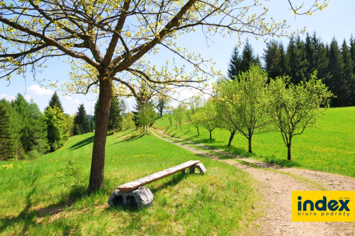 WYCIECZKA DLA FIRM W BESKID MALY 1 DZIEN