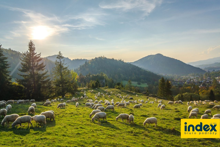 WYCIECZKA DLA FIRM W PIENINY 1 DZIEN