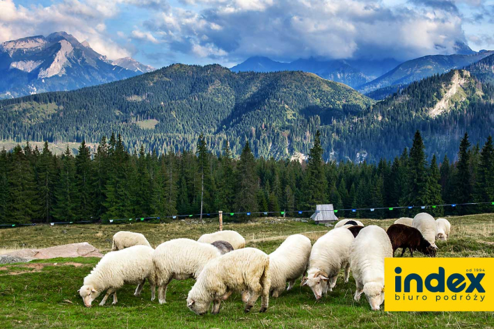 Wycieczka dla grup seniorów Tatry - Rusinowa Polan