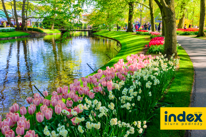 Wycieczka Amsterdam Parada Kwiatów - BP INDEX