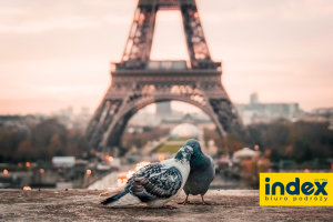 Walentynki w Paryżu - Biuro Podróży INDEX