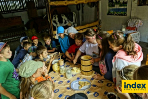 WYCIECZKA SZKOLNA AGROGOSPODARSTWO POD SKALKA 1 DZ