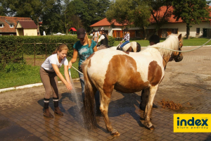 WYCIECZKA SZKOLNA DO ZBROSLAWIC 1 DZIEN