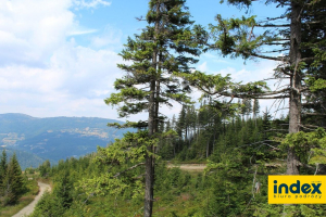 WYCIECZKA SZKOLNA W BESKID SLASKI 3 DNI