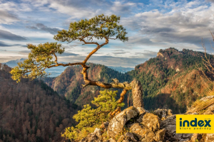 WYCIECZKA SZKOLNA W PIENINY 3 DNI 