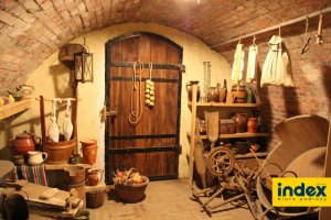 WYCIECZKA DLA FIRM DO SANDOMIERZA, KAZIMIERZA DOLN