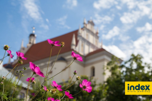 WYCIECZKA DLA FIRM DO SANDOMIERZA, KAZIMIERZA DOLN