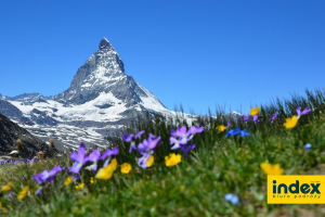 WYCIECZKA DLA GRUP DO SZWAJCARII I POD MONT BLANC 