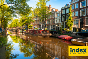 Wycieczka Amsterdam Parada Kwiatów - BP INDEX