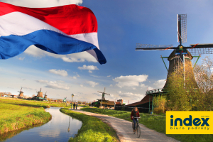 Wycieczka Amsterdam Parada Kwiatów - BP INDEX