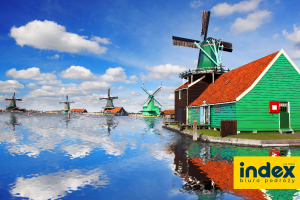 Wycieczka Amsterdam Parada Kwiatów - BP INDEX