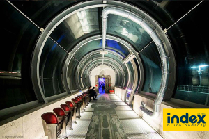 Wycieczka szkolna do Alvernia Planet - BP INDEX