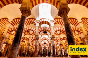 Wycieczka szkolna do Andaluzji samolot - BP INDEX
