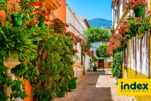 Wycieczka Seniorow do Andaluzji - BP INDEX